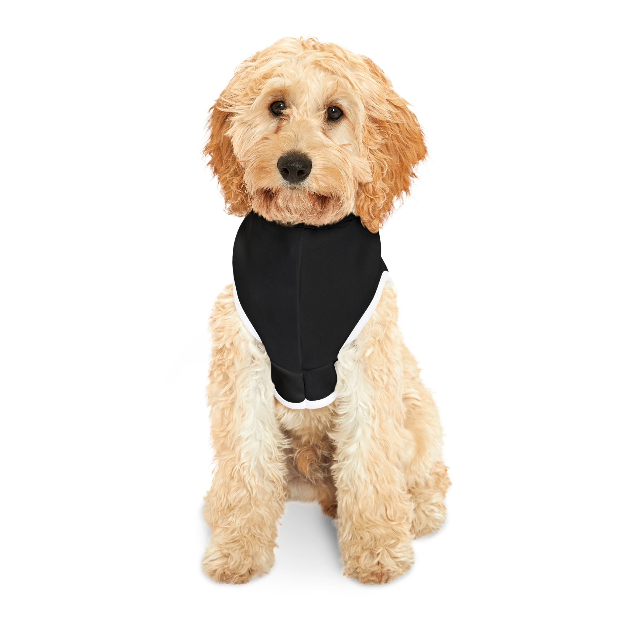 PhD Candidate Dog Hoodie – Funny Academic Pet Sweatshirt for Overachieving Pups